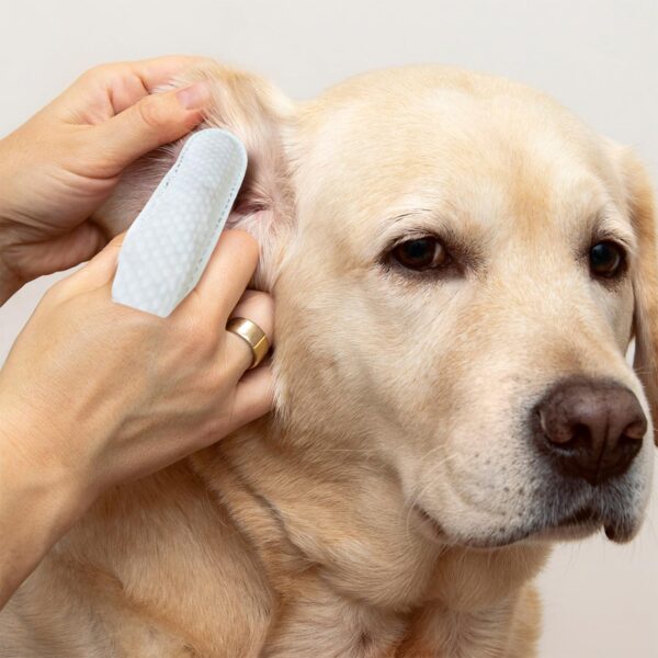 Dog Ear Cleaner Wipes - Image 6