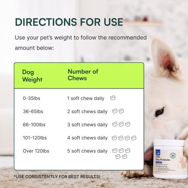 Daily Probiotic for Dogs - Image 4