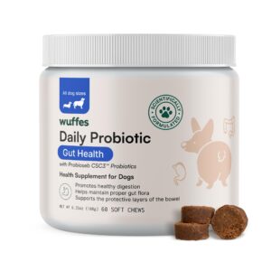 Daily Probiotic for Dogs