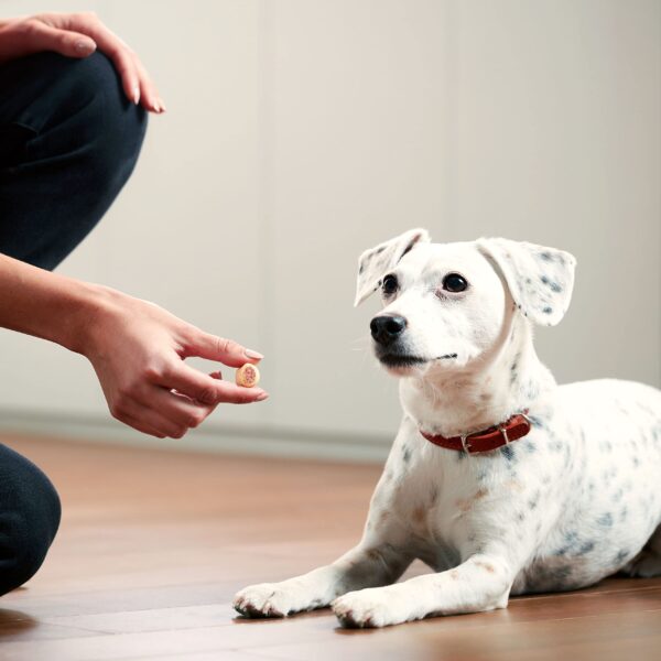MaroSnacks Small Dog Treats - Image 4