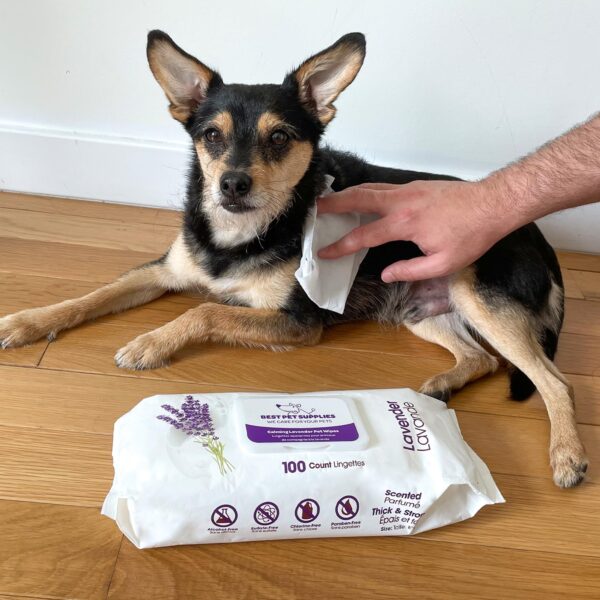 Pet Wipes for Dogs - Image 2
