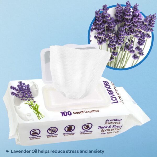 Pet Wipes for Dogs - Image 6