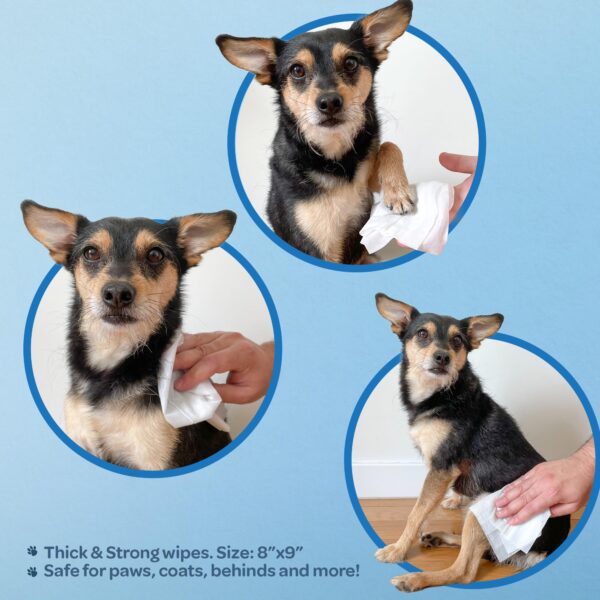Pet Wipes for Dogs - Image 5